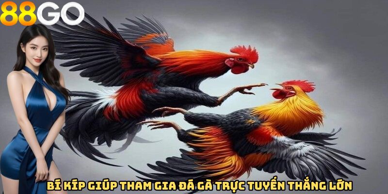 Bí kíp giúp tham gia đá gà trực tuyến thắng lớn