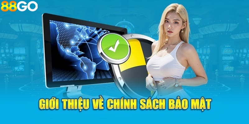 Tổng quan những thông tin căn bản nhất về chính sách bảo mật