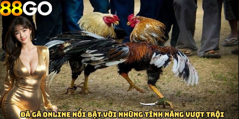 Đá gà online nổi bật với những tính năng vượt trội