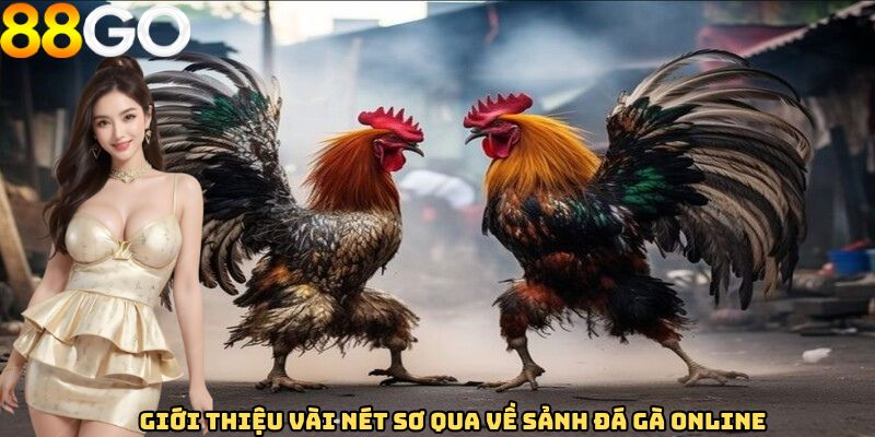 Giới thiệu vài nét sơ qua về sảnh đá gà online